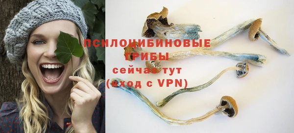 прущие грибы Елизово