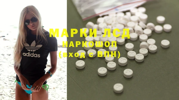 ПСИЛОЦИБИНОВЫЕ ГРИБЫ Ельня