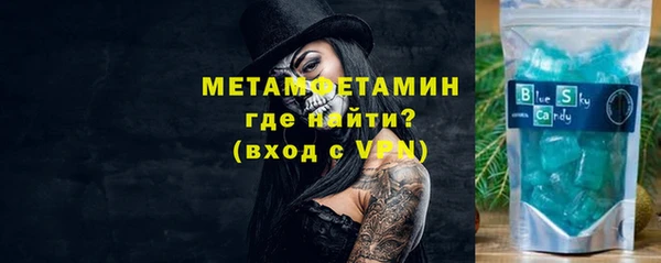 прущие грибы Елизово