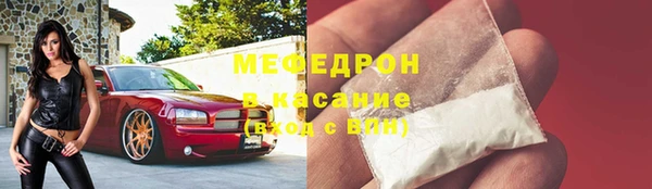 прущие грибы Елизово