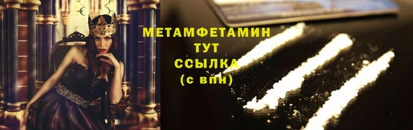 прущие грибы Елизово