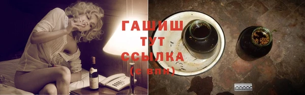 ПСИЛОЦИБИНОВЫЕ ГРИБЫ Ельня