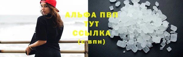 прущие грибы Елизово