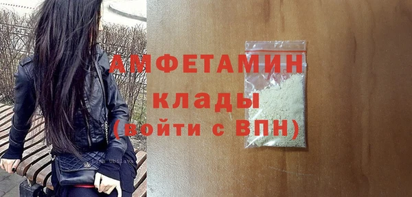 прущие грибы Елизово