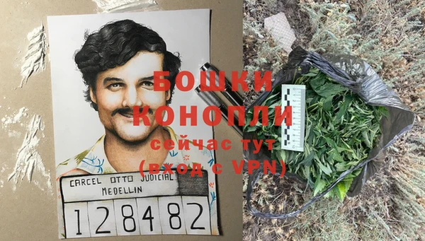 ПСИЛОЦИБИНОВЫЕ ГРИБЫ Ельня