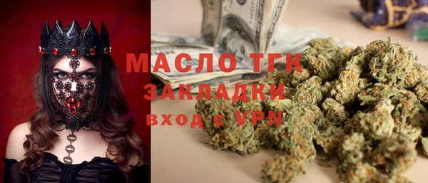 ПСИЛОЦИБИНОВЫЕ ГРИБЫ Ельня