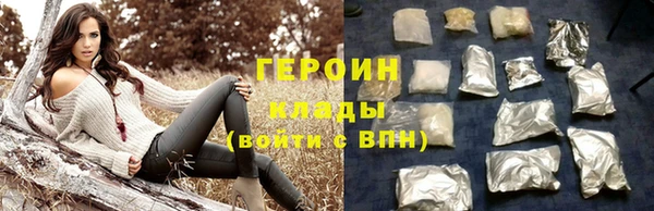 прущие грибы Елизово