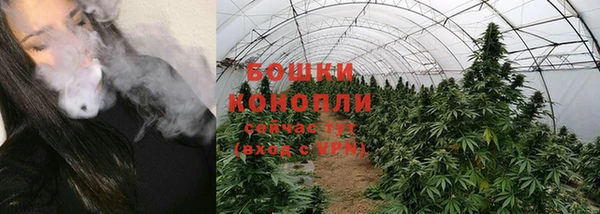 ПСИЛОЦИБИНОВЫЕ ГРИБЫ Ельня
