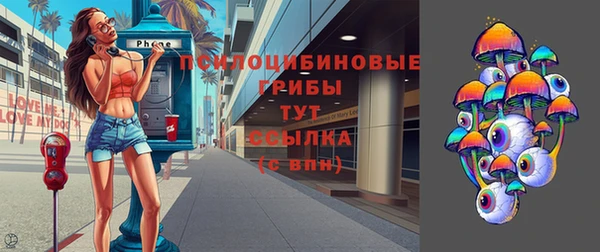 прущие грибы Елизово