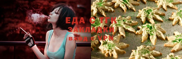 ПСИЛОЦИБИНОВЫЕ ГРИБЫ Ельня