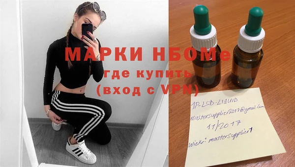ПСИЛОЦИБИНОВЫЕ ГРИБЫ Ельня