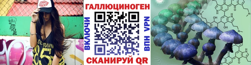 кракен tor Старица Галлюциногенные грибы Cubensis